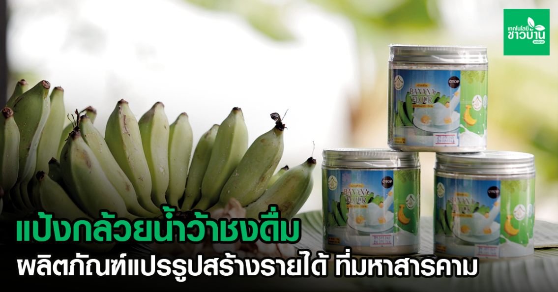 แป้งกล้วยน้ำว้าชงดื่ม