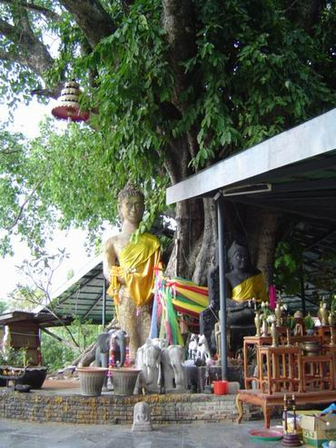พลังศรัทธาแห่งวัดพระพุทธมงคล
