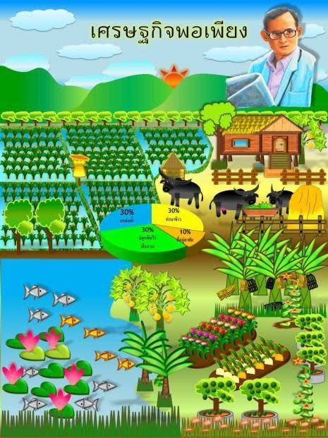 หลักปรัชญาของเศรษฐกิจพอเพียง